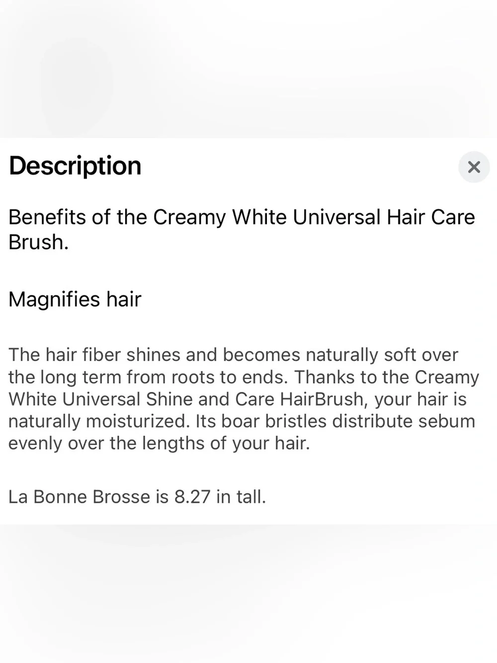 La Bonne Brosse Brush and Brush Cleaner Set